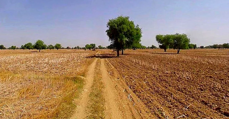 Chandla, Madhya Pradesh 471525, India preview 3