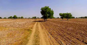 Chandla, Madhya Pradesh 471525, India preview 3