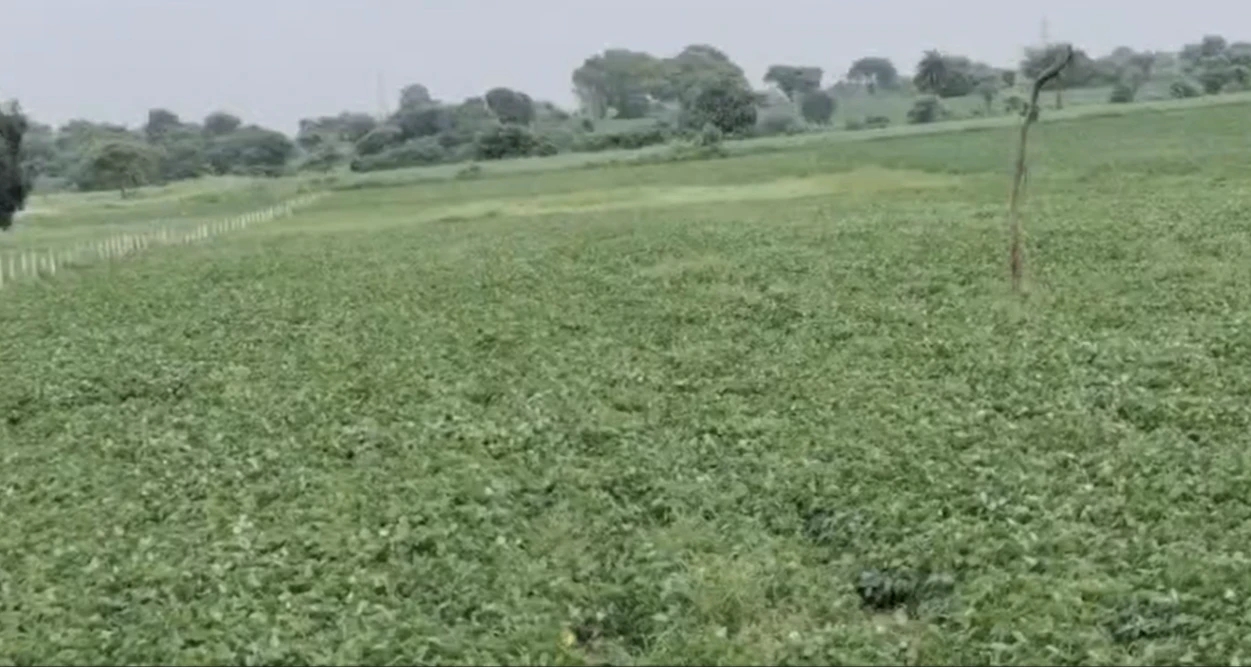 2QGX+5RW, Indore, Titawada, Madhya Pradesh, India
