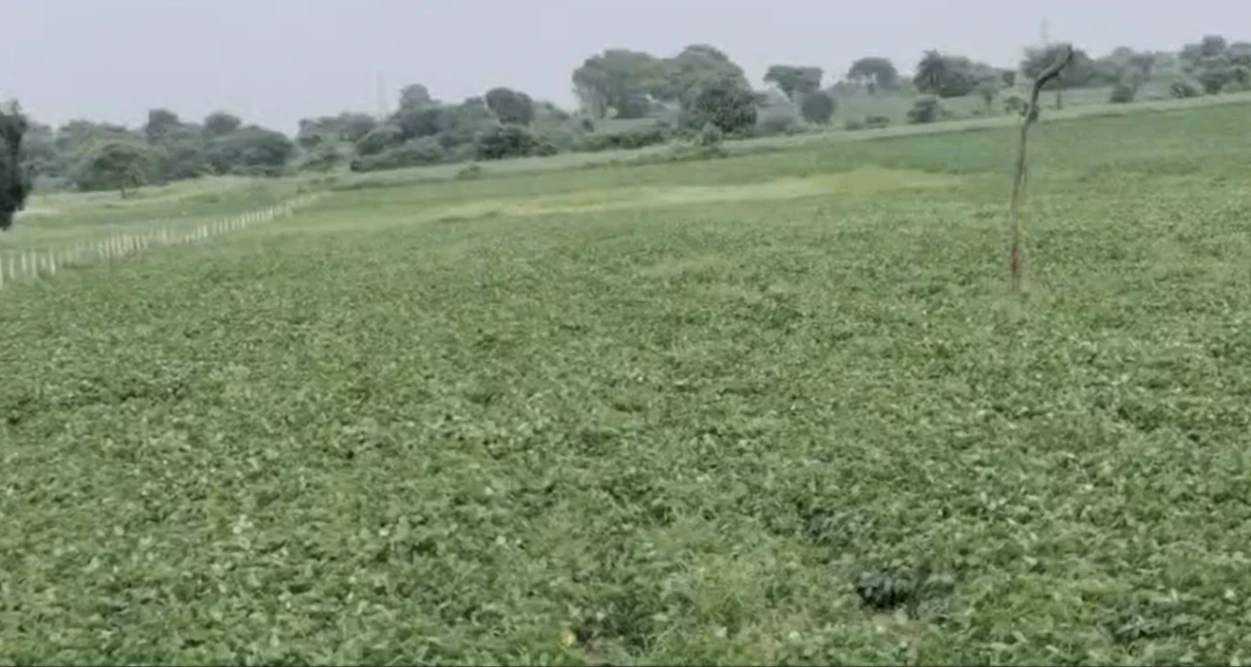 2QGX+5RW, Indore, Titawada, Madhya Pradesh, India