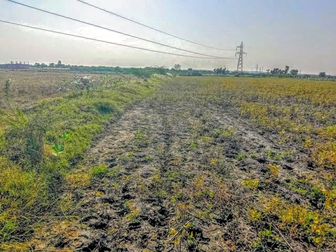 9763+VXX, Dantla, Rajasthan 332601, India preview 2