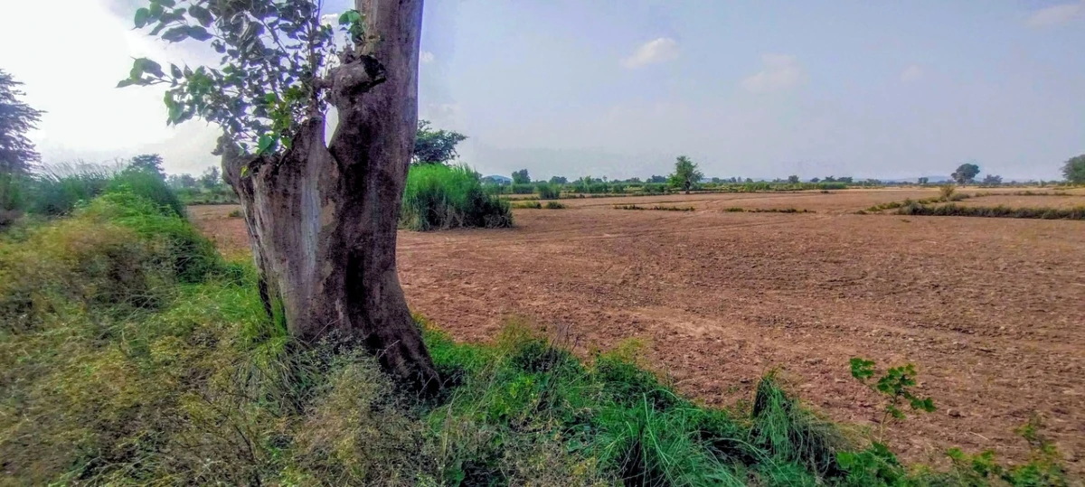 Nagla Chahar, Rajasthan 321203, India
