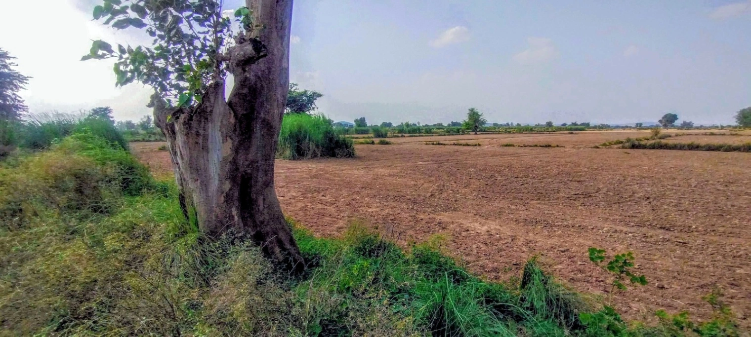 Nagla Chahar, Rajasthan 321203, India