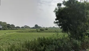 Jamuniya, Madhya Pradesh, India preview 2