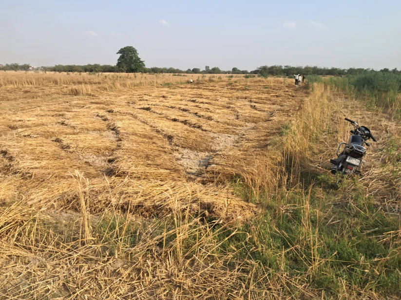 Barnagar, Madhya Pradesh 456771, India