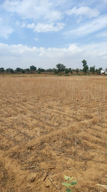 Mandsaur, Madhya Pradesh, India