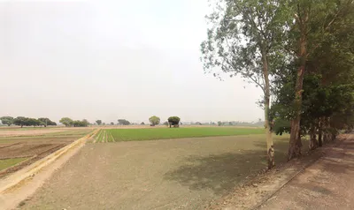 Bazidpur Saboli, Haryana 131029, India preview 3