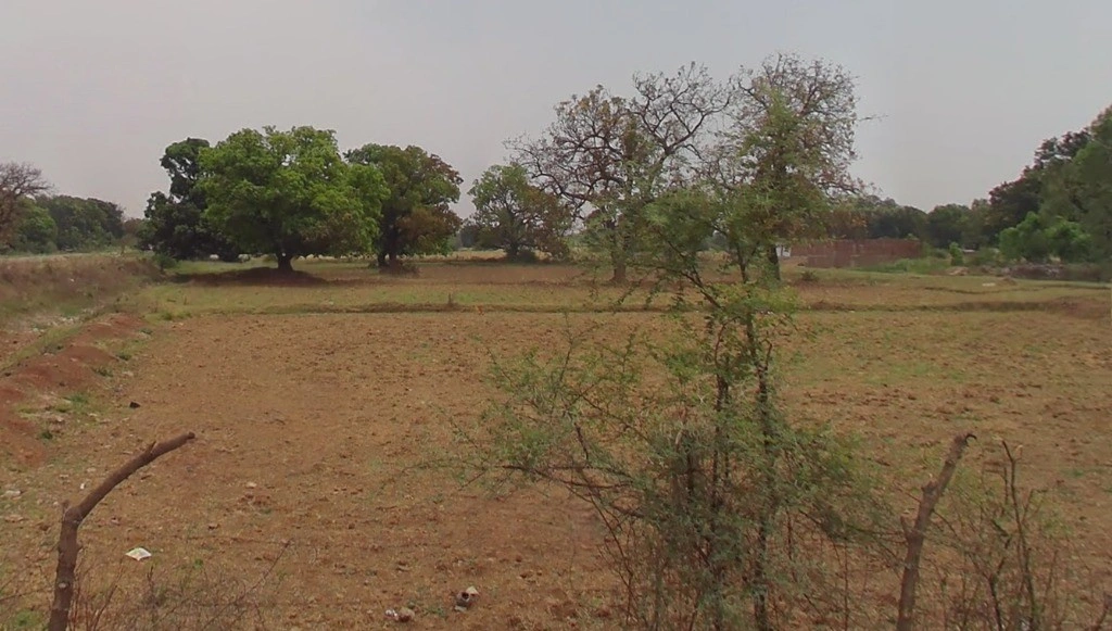 Karhani, Chhattisgarh 495118, India