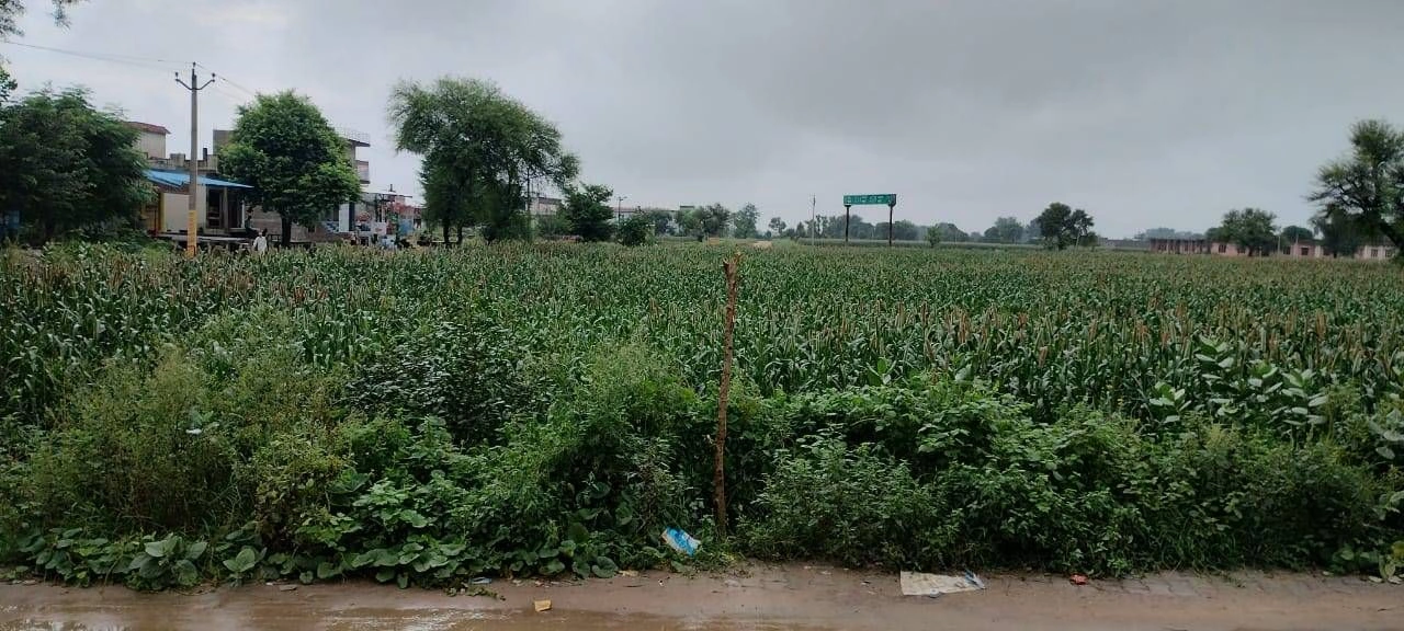 NH 703, Moga, Bilaspur, Punjab 142039, India preview 2