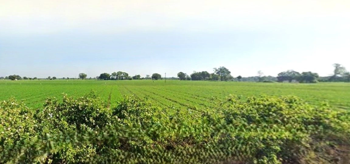 Panched, Madhya Pradesh 457222, India