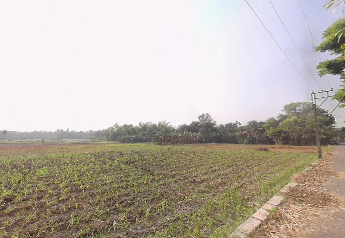 Duttapukur, Gangapur, West Bengal 743248, India preview 2