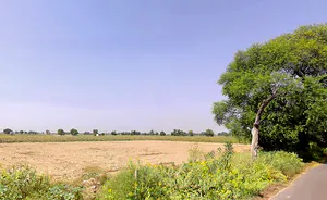 Naiwala, Haryana 125075, India preview 2