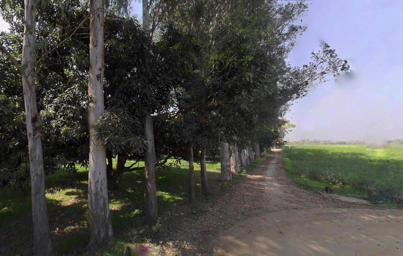 Nangla, Uttar Pradesh 250401, India