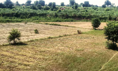 Rajpura, Punjab, India preview 2