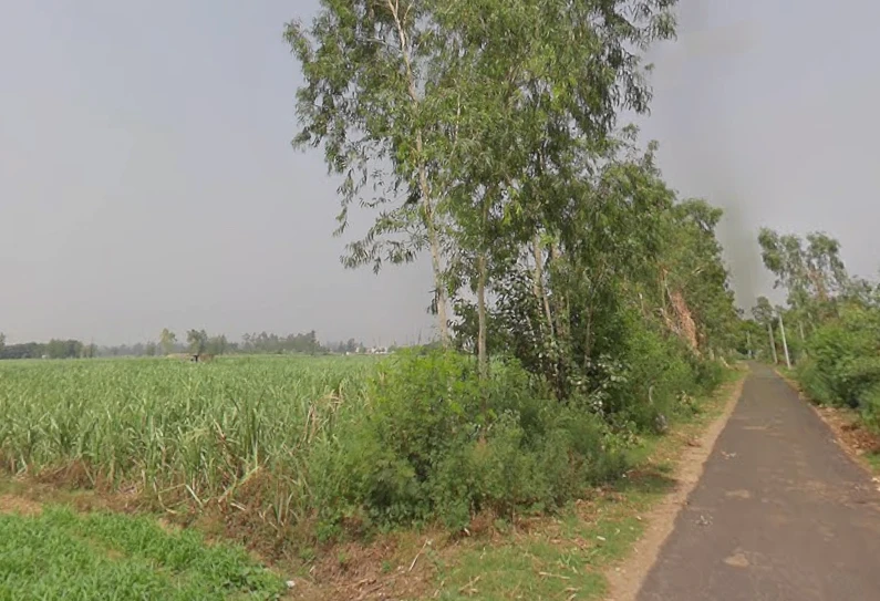 Hastinapur, Uttar Pradesh 250404, India