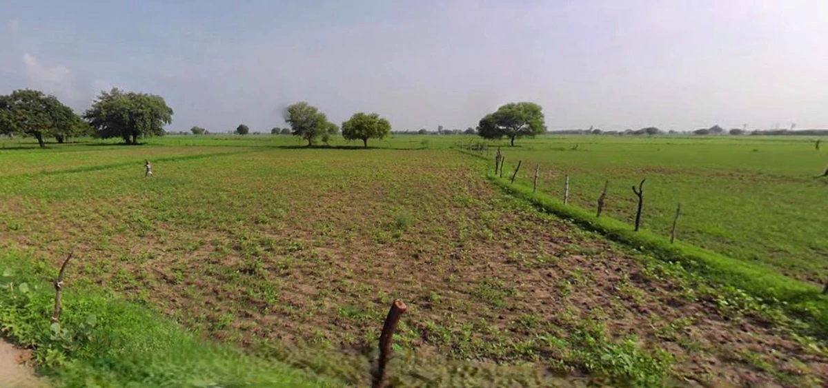 Khachrod, Madhya Pradesh 456224, India