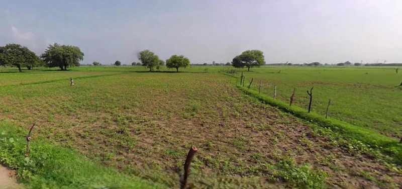 Khachrod, Madhya Pradesh 456224, India preview 2