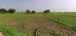 Khachrod, Madhya Pradesh 456224, India preview 2