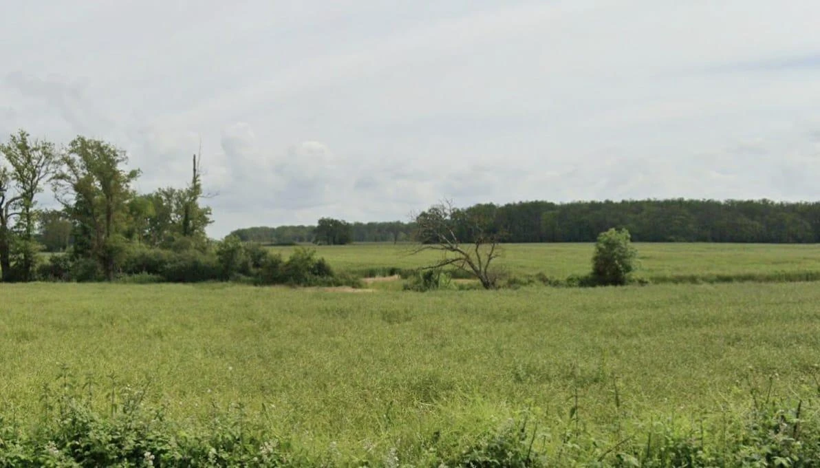 Guradiya, Madhya Pradesh 462036, India