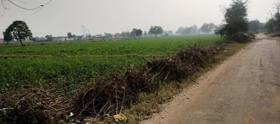 X6G6+H8W, Fazilka, Rajpura, Punjab 152118, India preview 3