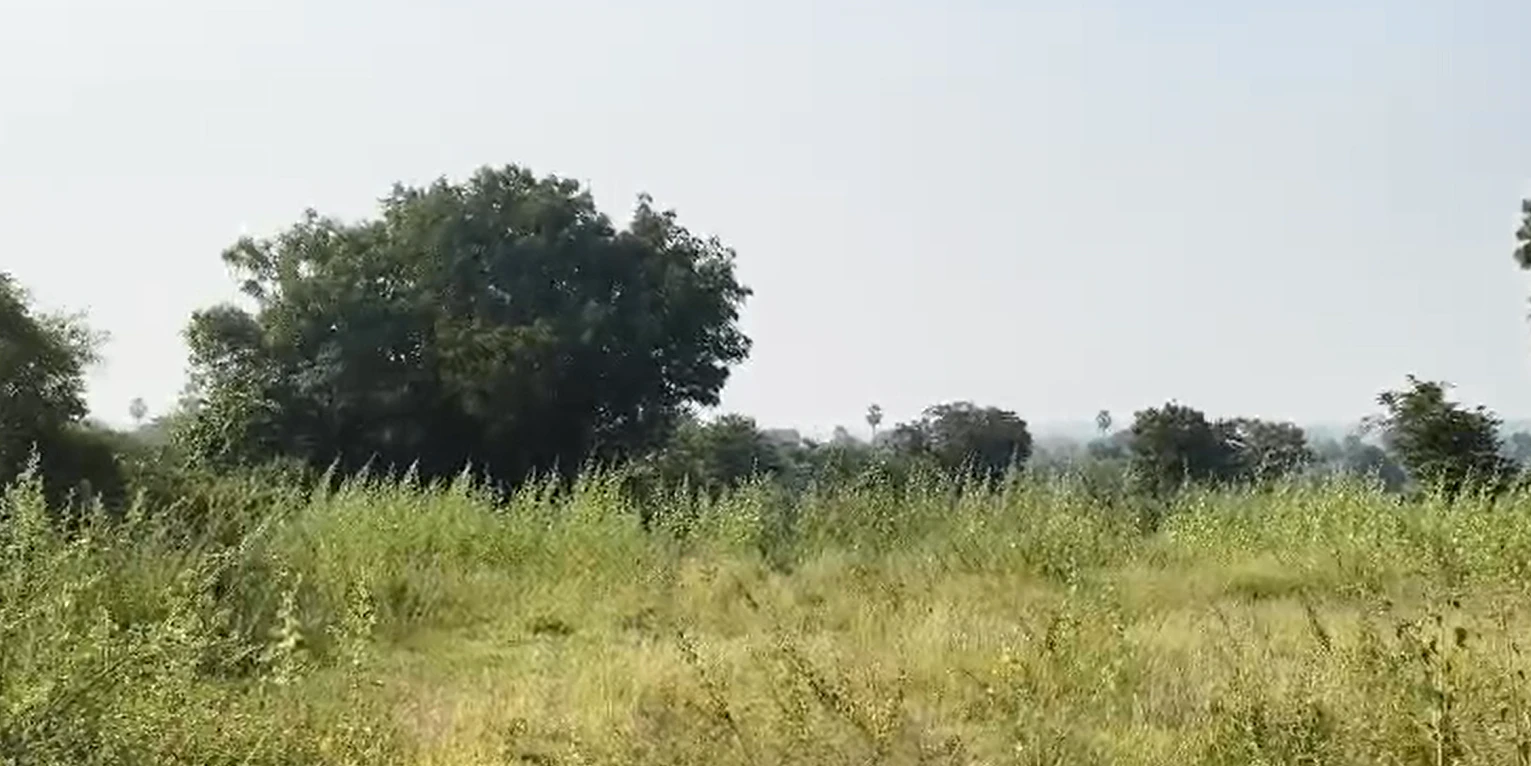 FXRW+CV Chakrampalle, Vikarabad, Telangana, India