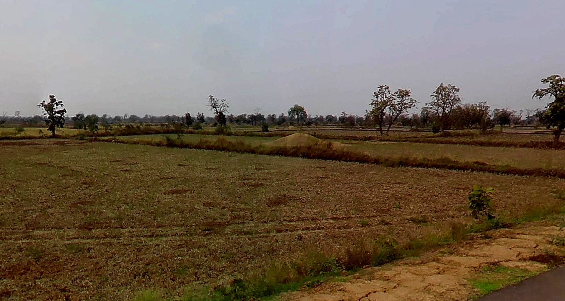 Sohagpur, Chhattisgarh 495671, India