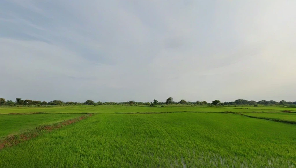 Churki, Chhattisgarh 493449, India