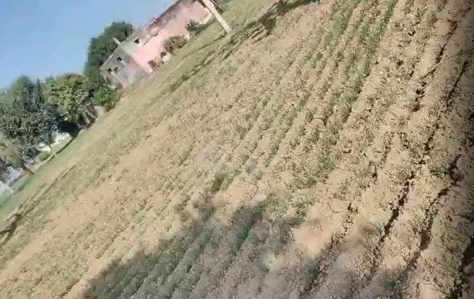 Barsana, Uttar Pradesh 281405, India
