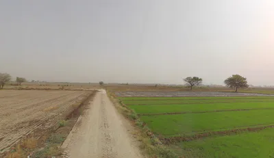 Faridpur, Haryana 122504, India preview 3