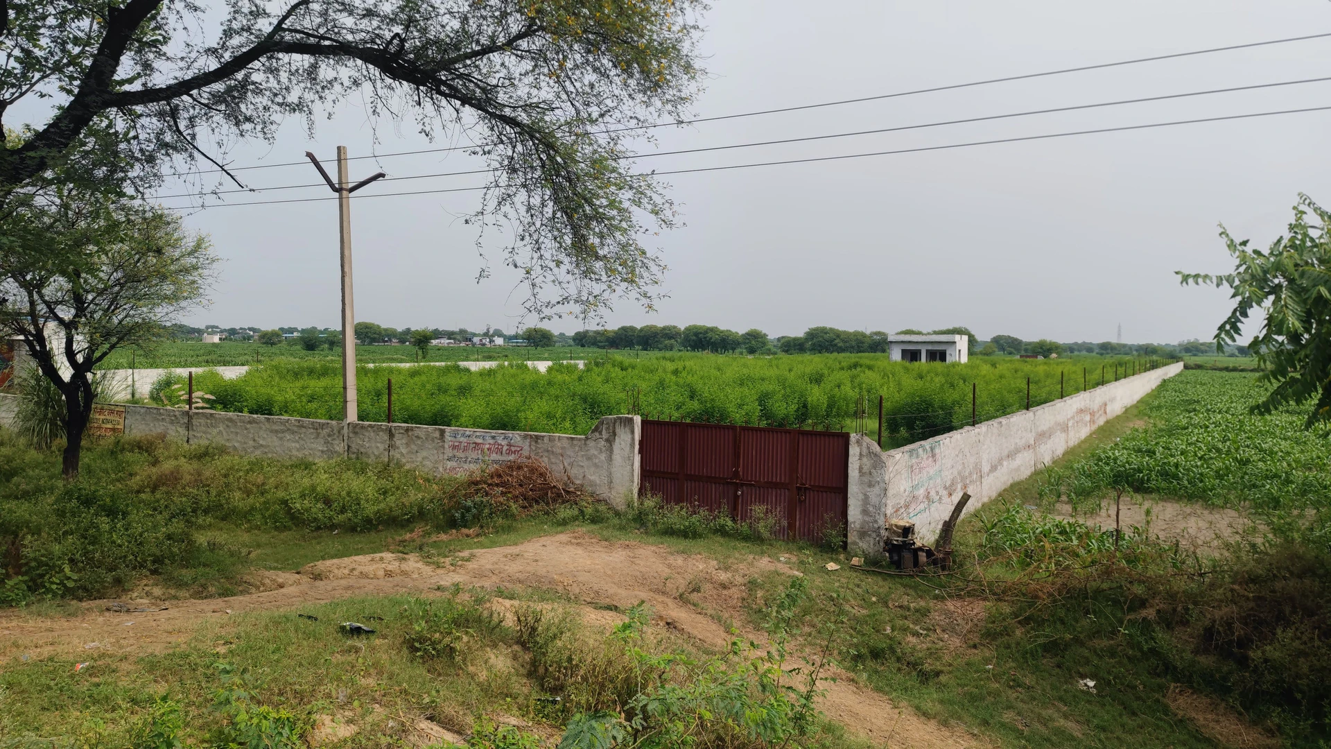 Mant, Uttar Pradesh 281202, India