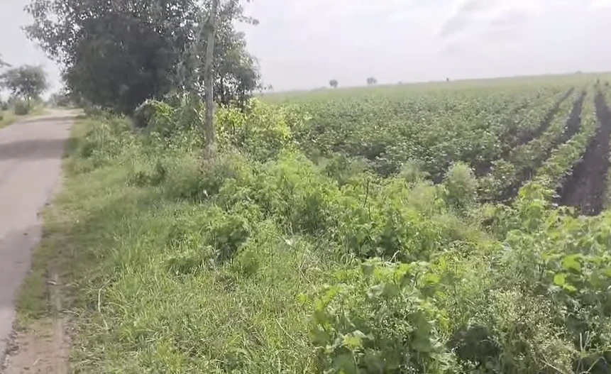 8VMX+PJF, Vikarabad, Telangana 501101, India