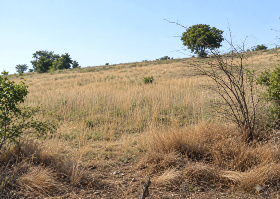 Lekhpal Colony, Chitrakoot, Sudinpur, Uttar Pradesh 210202, India