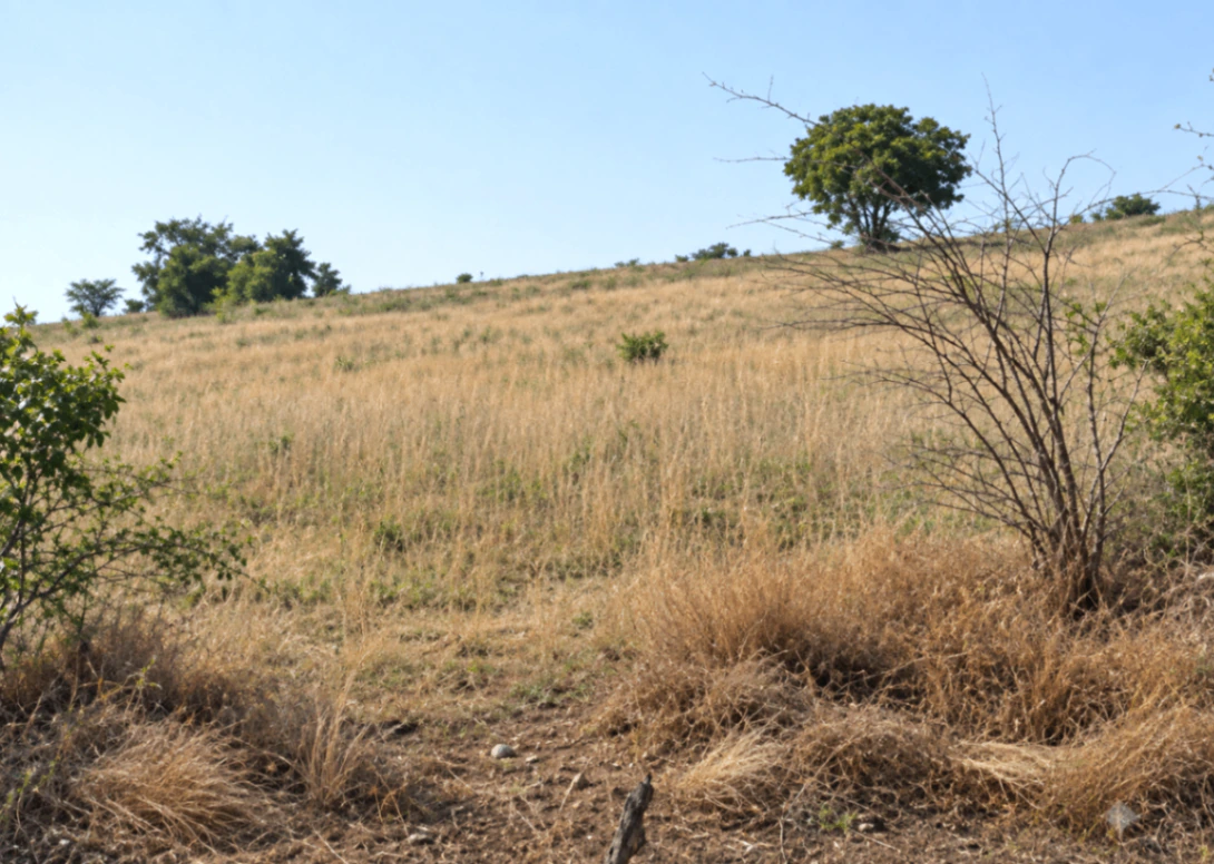 Lekhpal Colony, Chitrakoot, Sudinpur, Uttar Pradesh 210202, India - Photo 2