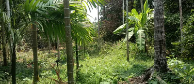 M9R2+HVJ, Meppadam, Chelakkara, Kerala 680586, India preview 2