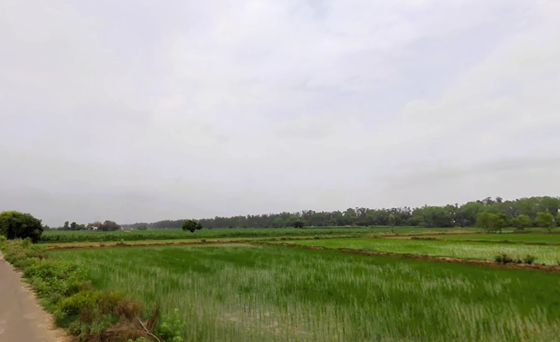 Narwana, Haryana 126116, India