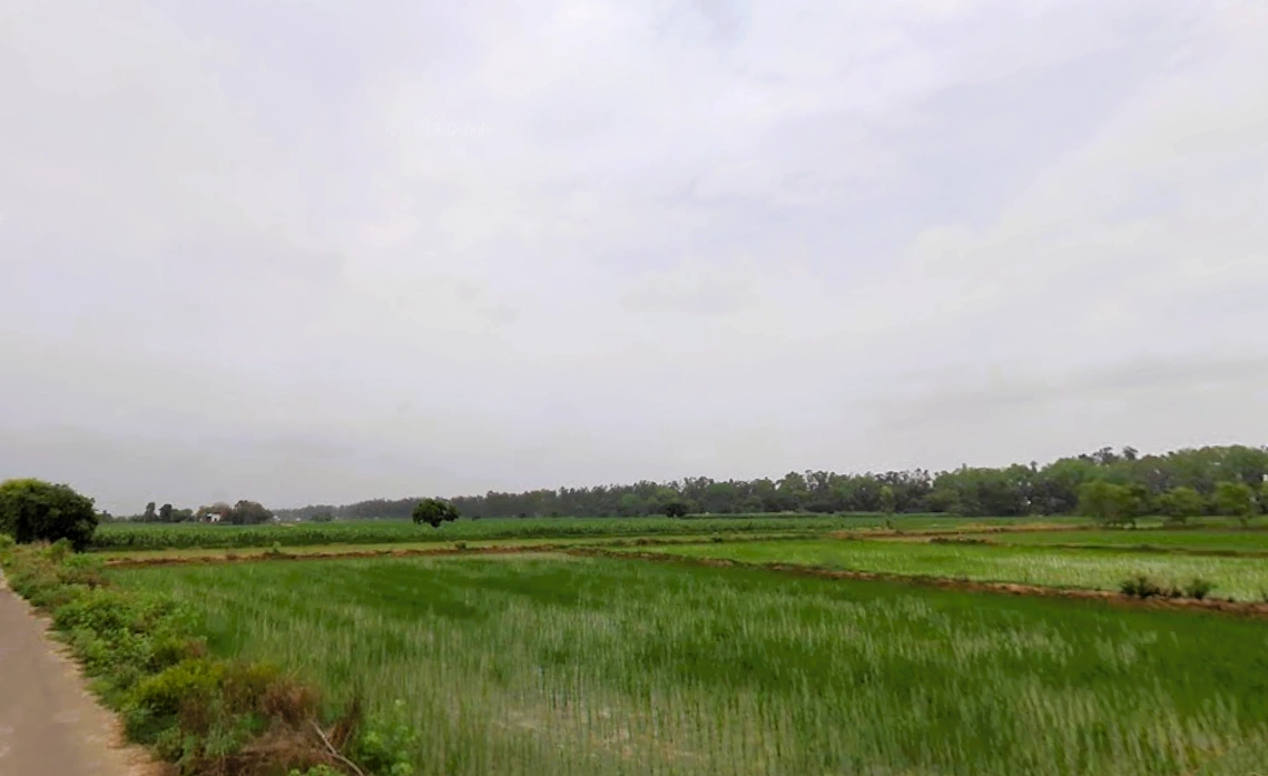 Narwana, Haryana 126116, India