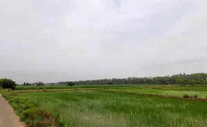 Narwana, Haryana 126116, India preview 3