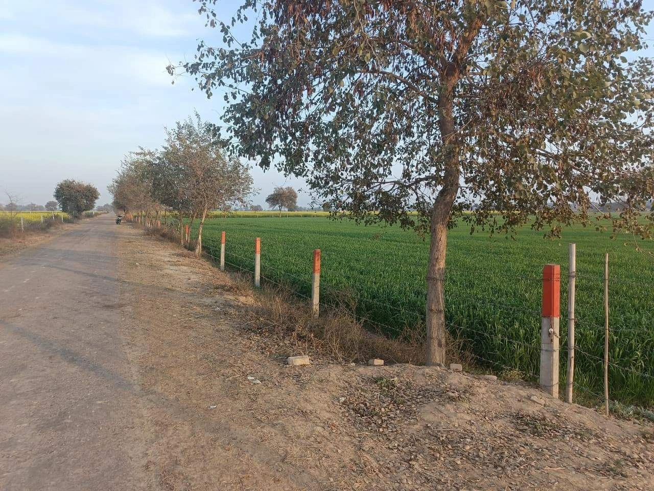 MW7F+93 Khuian Nepalpur, Haryana, India