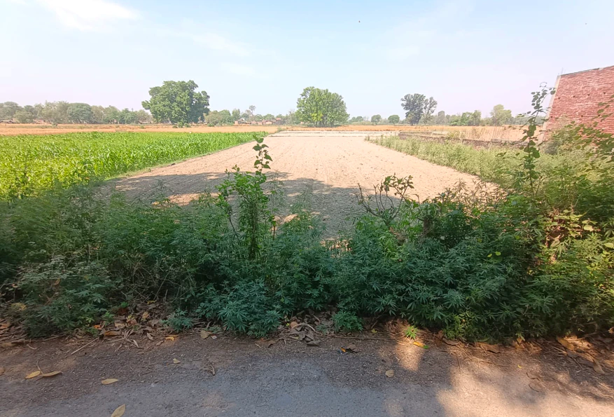 Mandha, Rajasthan, India