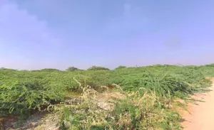 Dhabar, Rajasthan, India preview 3