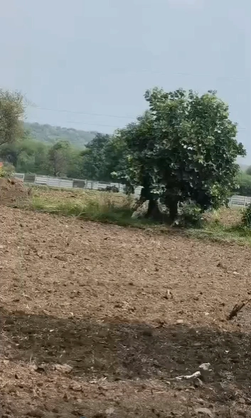 HWQ4+7C5, Dewas, Khategaon, Madhya Pradesh 455336, India