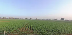Balva, Gujarat 382650, India preview 2