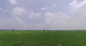 Ahun, Haryana 136021, India preview 2