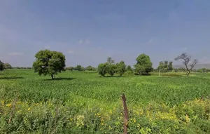 Beelwari, Rajasthan, India preview 3