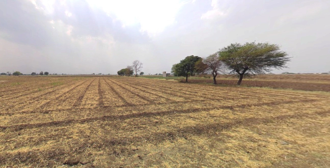 Badi, Madhya Pradesh 455227, India