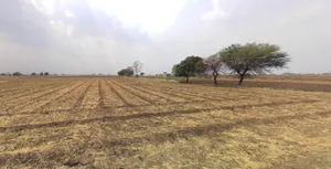 Badi, Madhya Pradesh 455227, India preview 3