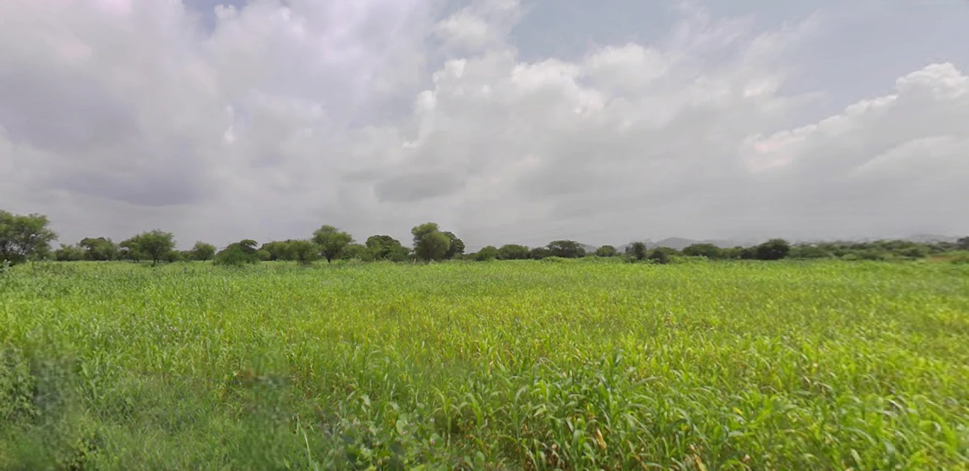 Udaipur, Rajasthan, India