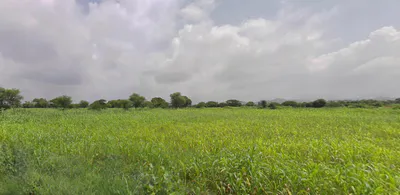 Udaipur, Rajasthan, India preview 2