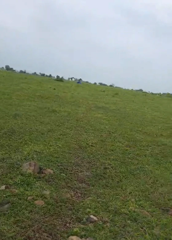 464V+R8R, Ratlam, Simlaoda, Madhya Pradesh, India