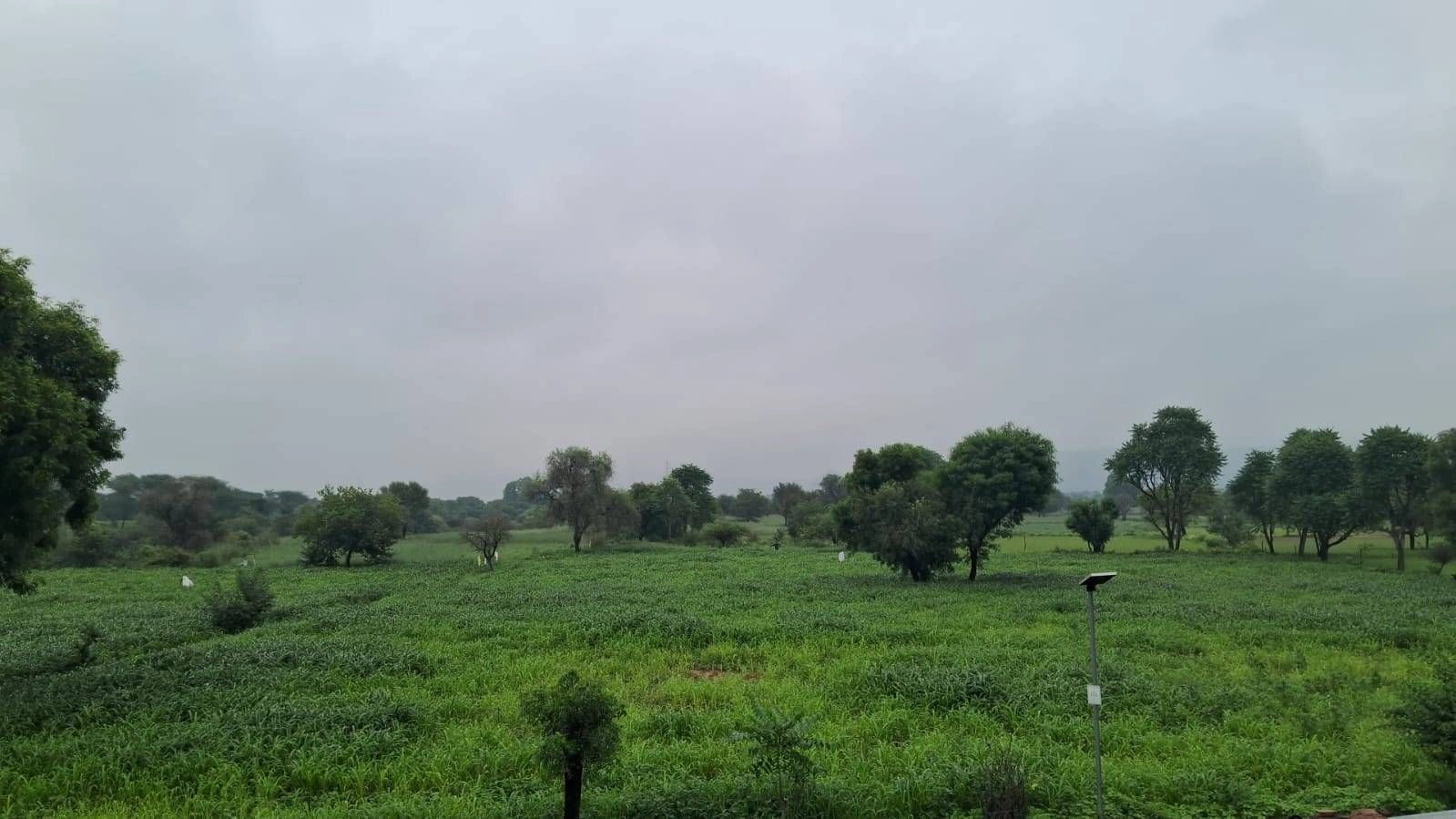 opp. Amity University, Chak Charanwas, Rajasthan 303002, India